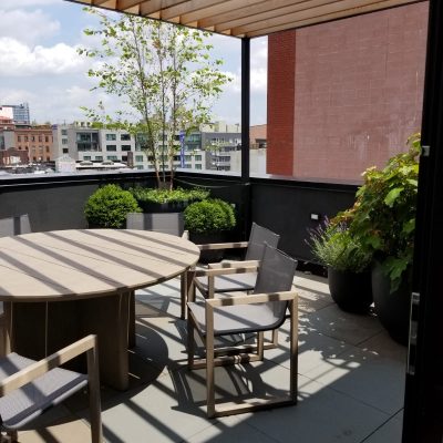 WhatsApp Image 2019-10-27 at 16.20.55 (1)